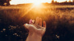 Thumbnail image for What do I Need?