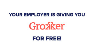 Thumbnail image for Grokker Explainer for Members