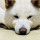 Bing Qian , Level 3