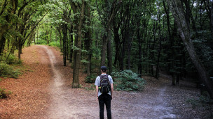 Thumbnail image for Making Decisions When You Feel Stuck