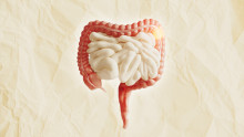 What Exactly is the "Gut"?