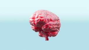 Thumbnail image for Is My Gut Really My "Second Brain"?